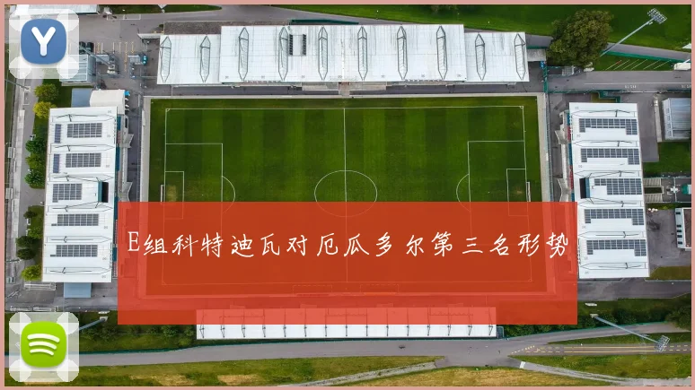 E组科特迪瓦对厄瓜多尔第三名形势