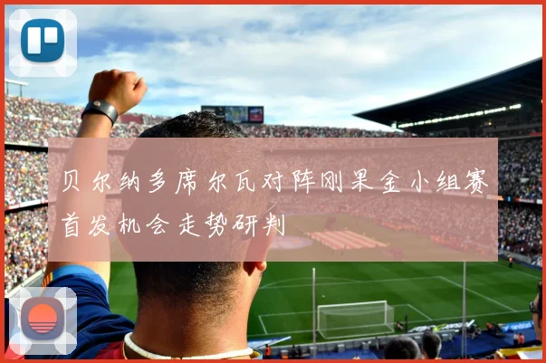贝尔纳多席尔瓦对阵刚果金小组赛首发机会走势研判