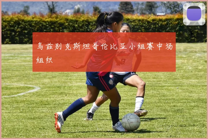 乌兹别克斯坦哥伦比亚小组赛中场组织