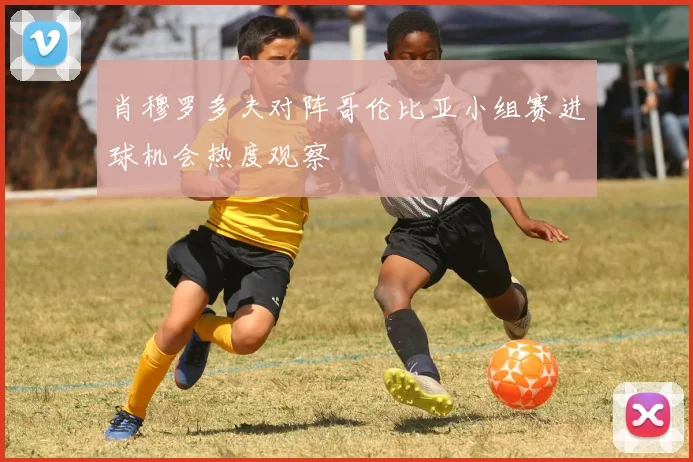肖穆罗多夫对阵哥伦比亚小组赛进球机会热度观察