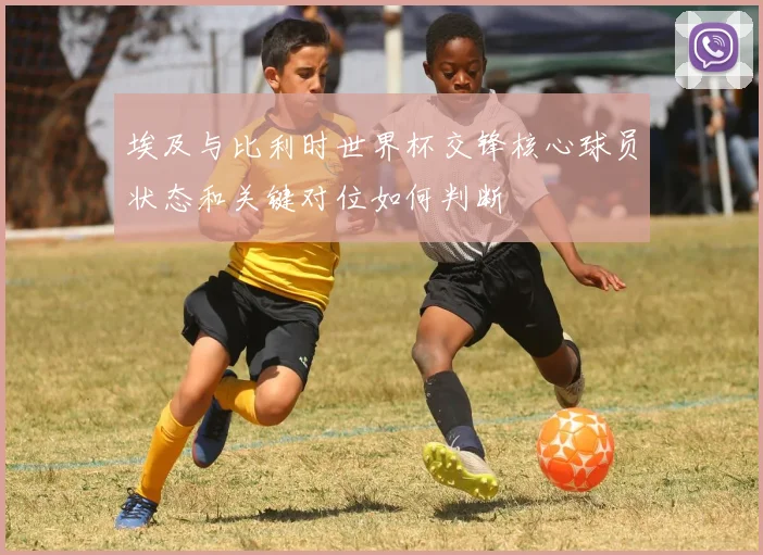 埃及与比利时世界杯交锋核心球员状态和关键对位如何判断