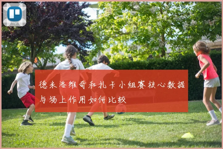 德米洛维奇和扎卡小组赛核心数据与场上作用如何比较